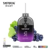 Гигант Tastefog 12000 Puff Vape 2024 Одноразовая E -сигарета Clear RGB Flash Wholesale Vape