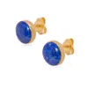 Mode française incrustée de pierre d'or bleu motif pierre oeil de tigre boucles d'oreilles en pierre pour les femmes lumière luxe de haute qualité haut charme bijoux tendance