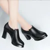 Dress Shoes High Heel Pointed Toe Thick With Black Single Fashion Women's Shallow Heels Autumn Leather