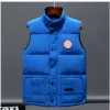 Mens Vests Coats 2024 Designer Men Jacket Canadian Goose Waistcoat Feather Material Looke Coat Winter Jacket 남자와 여자 야외 코트