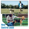 Köpek tasması yansıtıcı elastik naylon ip ile yastıklı saplı emniyet, küçük orta büyük köpekler için yürüyüş kablo demeti yaka lideri 240103