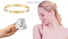 Bracelet de luxe Bracelet de bijoux de créateur Bracelet de haute qualité Pneus de voiture en acier inoxydable pour femmes et hommes Bracelet en or jaune 18 carats ont une boîte d'origine LEM7