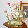 6/8pcsガラスフラワーボトルガラステストチューブ花瓶花のためのモダンな装飾植物花瓶セットウェディングホームデコレーション240103