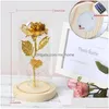 Flores decorativas grinaldas bonito e animal selvagem pote rosa led flor luz preta fundo de vidro melhor presente do dia das mães valenti dhctg