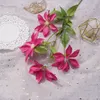 Clematis duplo diamante lótus salão de casamento estrada chumbo arranjo flor seda flor casamento tiro adereços simulação flor ay