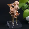 Dekorativa plattor Collectibles Coral för Ball Agate Minerals Rock Home Office Decor Support Base Display Holder Sphere Stand Crystal