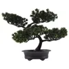 Decorative Flowers Simulated Bonsai Tree Fake Mini Grass Pot Model Office Desk Pine Plants Plastic