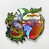 mylar bag 35g shaped die cut holographic custom pack empty resealable packing bag Wjjxu