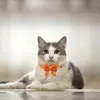 50/100 Stuks Wol Stijl Hond Strikken Mix Kleuren Huisdier Verzorging Accessoires Fashional Kat Hond Strikjes Verstelbare Hond Bowtie 240103