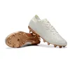 Männer Fußballschuhe Tiempoes Legendes 10 Elitees FG IC TF Stollen Fußballschuhe Steigeisen De Scarpe Da Calcio orange