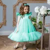 born Baptism Dress For Baby Girls Princess Evening Tutu 1st Year Birthday Party Toddler Girl Flower Christening Clothes 240104