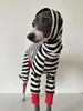 Abbigliamento per cani Levriero italiano Abbigliamento a quattro zampe a righe Morbido ed elastico Whippet Inverno caldo