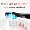 Seago Sonic escova de dentes elétrica recarregável com 3 cabeças de escova de reposição temporizador de 2 minutos 4 modos de escovação à prova d'água SG551 240104