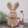 Lapin en peluche marron de pâques, jouet Animal de dessin animé, cadeau pour fille et garçon, décoration d'halloween, de noël et d'anniversaire