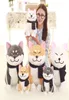 25 cm mignon porter écharpe Shiba Inu chien en peluche doux Animal en peluche Akita chiens poupée pour les amoureux enfants cadeaux d'anniversaire LA0356791833