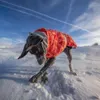 Hundkläder höst och vinter quiltad snö varm vattentät stor bomullsrock kallt bevis skiddräkt