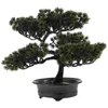 Decorative Flowers Simulated Bonsai Tree Fake Mini Grass Pot Model Office Desk Pine Plants Plastic