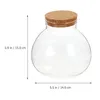 Vaser Small Glass Dome Display Micro Landscape Ecological Bottle Succulent Plants Live DIY Terrarium