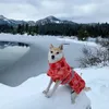Hundkläder höst och vinter quiltad snö varm vattentät stor bomullsrock kallt bevis skiddräkt