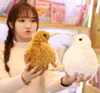 20 cm 30 cm 50 cm Simulering Animal Kiwi Bird Plush Toy Soft Fyled Cartoon Livselike Birds Doll Kids Toys Home Decoration for Childr1600155