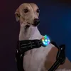 Truelove USB LED Light Pet Dog Tag Collar Pendant Glow Night Safety Dogs ficklampa för sele koppel laddning 240103