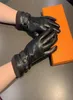 Winter Women Leather Gloves Touch Screen High Quality Ladies Mitten Thicken Warm Wool Cashmere Glove8760461