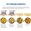 Cryo Fat Freeze Slimming Machines의 전문 3 크기 냉동 분해 핸들 중간 및 작은 이중 턱 헤드 사용