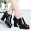 Dress Shoes High Heel Pointed Toe Thick With Black Single Fashion Women's Shallow Heels Autumn Leather