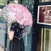 傘のロマンチックな透明な透明な花バブルドームかわいいデザイナーゴス女性太陽傘のための豪雨yq240105