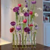 Test Tube Vases High Appearance Glass Ornaments Fresh Flowers Hydroponic Planters Combination Flower Vase Decorations 240105