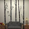 5 Large Birch Trees With Branches Wall Stickers for Kids Room Removable Vinyl Wall Art Baby Nursery Wall Decals Quotes D641B 20120232o