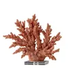 Creative Resin Imitation Coral Crafts Hollow Coral Sculpture Decorative Figurines Colorful Crystal Ornaments Home Decoration 240105