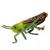 Garden Decorations Locust Animal Model Toys Cognitive Models Ornament Insect Plastic Simulation Child