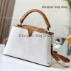 designer bag Tote Designer Shoulder Bag Women Cross Body Handbags Top Quality Embroidered Shoulder Strap Canvas Fashion Shopping Bag Mini Tote Crossbody