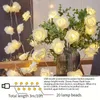 1 Stück USB-LED-Rosen-Lichterkette – Farbe: warmes weißes Licht + Blumen. 20 Luftblasen-Blumen-Lichterketten für Party-Überraschung, Garten, Outdoor-Dekoration, sanftes und romantisches Ambiente