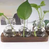 Hydroponic Plants Container Plant Glass Test Tube Terrariums Vase in Wooden Stand Flower Pots Hydroponic Plants Test Tube Vase 240105