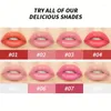 Lip Gloss 1PCS Tubo antiaderente Smalto per ragazza Donna Make Up Macchia Rossetto liquido a lunga durata Trucco coreano Cosmetico