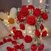 1 st USB LED Rose String Lights -Color: Warm White Light+Flowers 20 Bubble Flower Fairy Lights For Party Surprise, Garden, Outdoor Decor, Soft and Romantic atmosciple