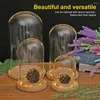 Vasen Terrarium Abdeckung mit Glasdekor Vase Landschaft Blume Geschenkbehälter Halter Geburtstag Basis Licht Schlafzimmer Kuppel aus Holz