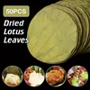 Flores decorativas 50 piezas de disco de hojas de loto secas naturales para cocina al aire libre bandeja de comida arroz glutinoso accesorios para hacer pollo