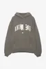 2024 Heren Hoodies Sweatshirts Hot Koop 23ss Dames Designer Mode Katoenen Capuchon Nieuwe Ab Anines Bing Klassieke Letter Print Waswater 8812ess