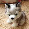 Simpatico giocattolo di peluche per cani Husky per bambini