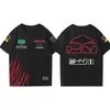 2024 New F1 racing suit T-shirt Team Summer Short-sleeved T-shirt with mens custom plus size