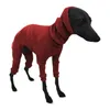 Hundebekleidung Rollkragenpullover für Jungen Mädchen dicke Fleece Mantel Feste Farbe