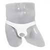Underpants Transparent Ice Silk Men Underwear Hollow Out G-String Thongs Erotic Lingerie Open Pouch Front Hole Briefs