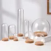 Dekorativa blommor 5 datorer jul snö globes transparent glas täcker klart kupol odödlig blomma huvlandskap barn bevarade rosor