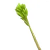 Decorative Flowers Beautiful Lightweight Last Forever Immortal Hare Tail Grass Eye-catching Compact Household Products