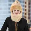 Береты, плюшевый шарф, цельная шапка, женская осенне-зимняя морозостойкая пуловер, вязаный теплый термобелье для улицы, модная одежда