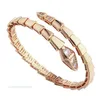 2024 Nieuwe Designer Braceletcharm Luxe Hart Gouden Diamant voor Vrouwen Snake Dames Sieraden Roestvrij Staal Heren Dames Engagement Huwelijkscadeau