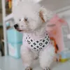 Top roupas para animais de estimação primavera e verão atacado saia para cães roupas novas roupas de renda saia para animais de estimação roupas para cães